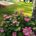 Eden Bed & Breakfast