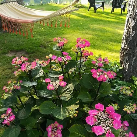 Eden Bed & Breakfast