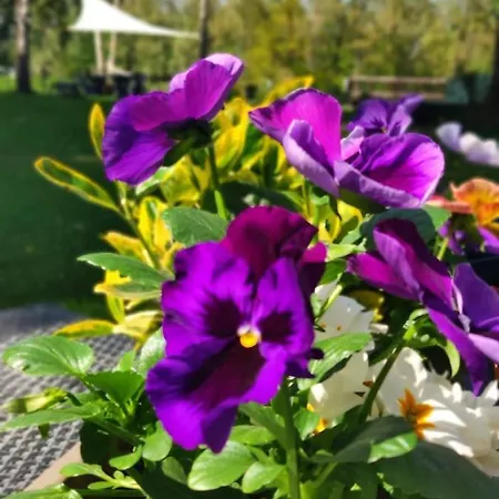 Bed & Breakfast Eden Basecles