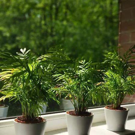 ベッド・アンド・ブレックファスト Eden 3*