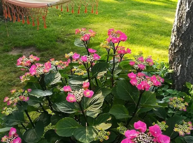 Eden Nocleg ze śniadaniem