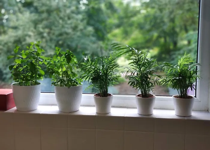 Nocleg ze śniadaniem Eden 3*