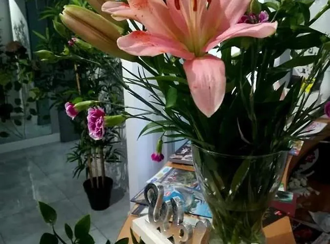 Eden Bed & Breakfast Basecles