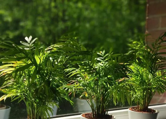 Nocleg ze śniadaniem Eden 3*